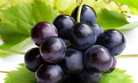 Ảnh minh hoạ: Internet