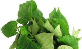 Ảnh minh hoạ: Internet