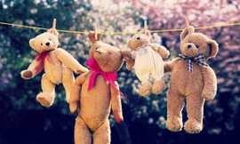 Ảnh minh hoạ: Internet