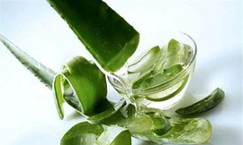 Ảnh minh hoạ: Internet