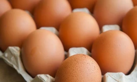 Ảnh minh hoạ: Internet