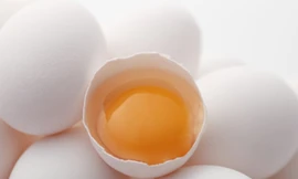 Ảnh minh hoạ: Internet