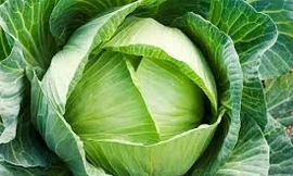 Ảnh minh hoạ: Internet