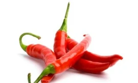 Ảnh minh họa: Internet