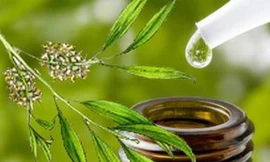 Ảnh minh hoạ: Internet