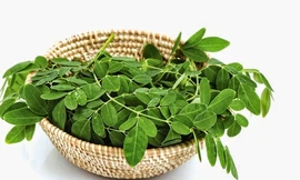 Ảnh minh hoạ: Internet