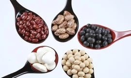 Ảnh minh hoạ: Internet