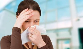 Ảnh minh hoạ: Internet