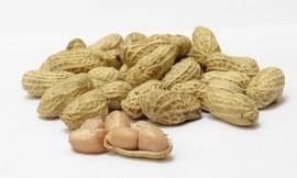 Ảnh minh hoạ: Internet