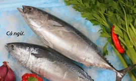 Ảnh minh hoạ: Internet