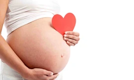 Ảnh minh hoạ: Internet