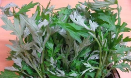 Ảnh minh hoạ: Internet