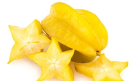 Ảnh minh hoạ: Internet