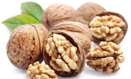 Ảnh minh hoạ: Internet