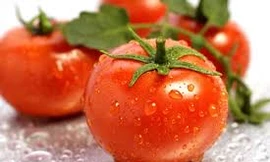 Ảnh minh hoạ: Internet