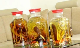 Ảnh minh hoạ: Internet