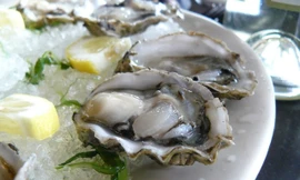 Ảnh minh hoạ: Internet