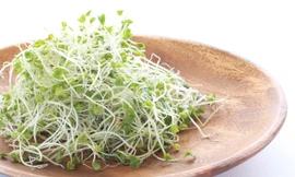 Ảnh minh hoạ: Internet