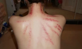 Ảnh minh hoạ: Internet