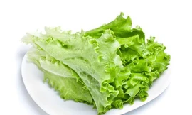 Ảnh minh hoạ: Internet