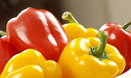 Ảnh minh hoạ: Internet