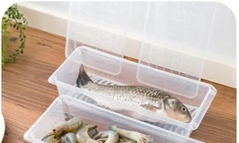 Ảnh minh hoạ: Internet