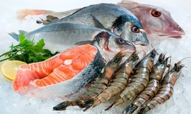 Ảnh minh hoạ: Internet