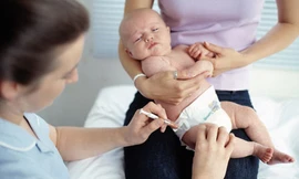 Ảnh minh hoạ: Internet