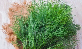 Ảnh minh hoạ: Internet