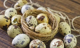 Ảnh minh hoạ: Internet