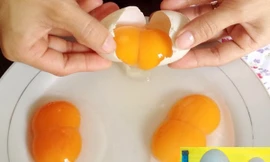 Ảnh minh hoạ: Internet