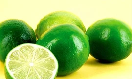 Ảnh minh hoạ: Internet