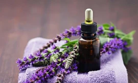 Ảnh minh hoạ: Internet