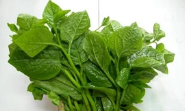 Ảnh minh họa: Internet