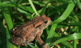 Ảnh minh hoạ: Internet