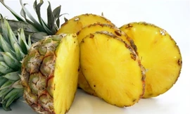 Ảnh minh hoạ: Internet