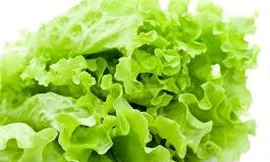 Ảnh minh họa: Internet