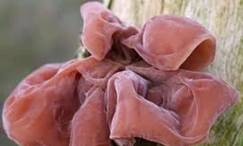 Ảnh minh hoạ: Internet