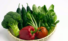 Ảnh minh hoạ: Internet