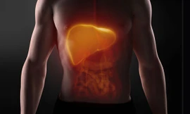 Ảnh minh họa: Internet