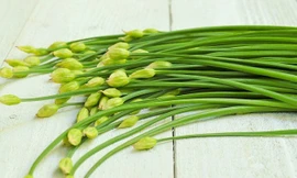 Ảnh minh hoạ: Internet