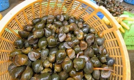 Ảnh minh họa: Internet