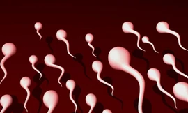 Ảnh minh hoạ: Internet