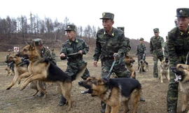 Triều Tiên sẽ rút công nhân, đóng KCN liên Triều