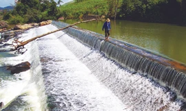 Thủy điện tư bên bờ phá sản