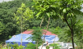 Thi hành án tử hình đầu tiên bằng tiêm thuốc độc