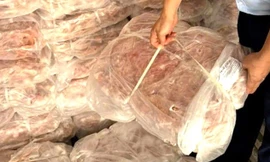 Lào Cai thu giữ trên 1,5 tấn chân gà đông lạnh, không rõ xuất xứ