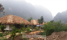 Ninh Bình nói gì về việc Giám đốc Ban Quản lý Quần thể danh thắng Tràng An 'xuống' làm chuyên viên