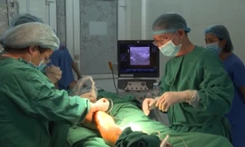 Lào Cai điều động luân phiên cán bộ y tế tuyến trên xuống hỗ trợ, đào tạo tuyến dưới