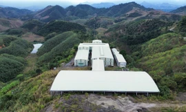 Tận thấy mỏ than chì hơn 100 ha tại Lào Cai bị xem xét 'khai tử'